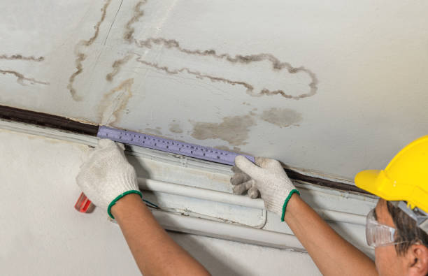 Reliable Burst Pipe Cleanup contractor in Maryville, TN by Water Damage Irwin